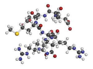 Acetyl Hexapeptide-3 (Argireline) 