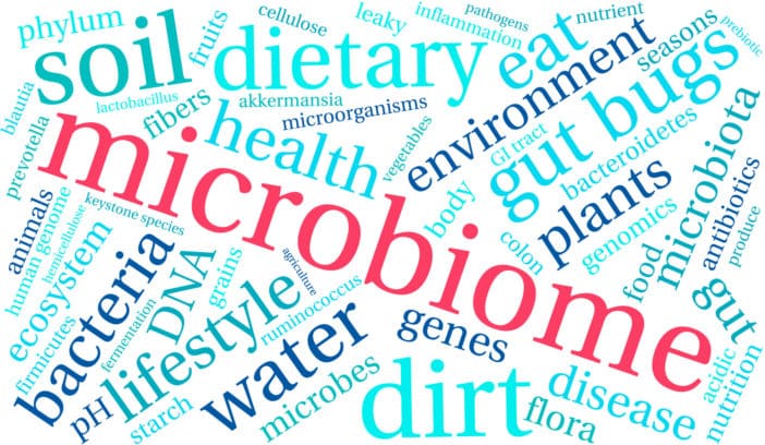 Fermentative Wirkstoffe, Ferment, Mikrobiom; fermentierte Wirkstoffe