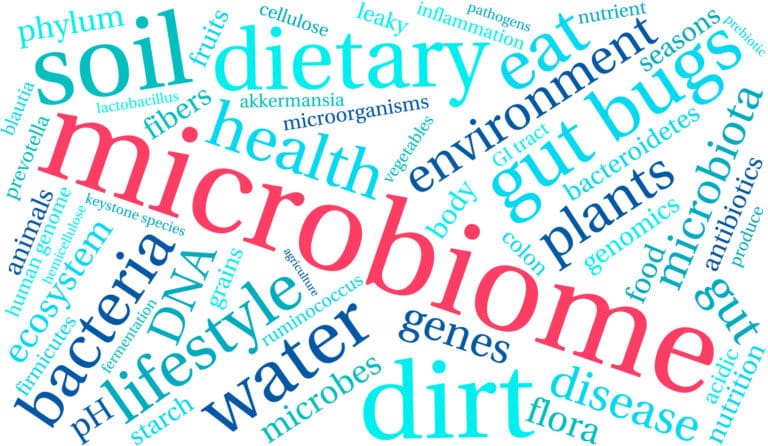 Fermented ingredients, ferment, filtrate