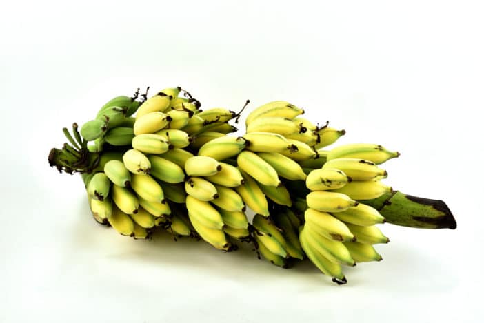 Musa Sapientum (Banana) Pulp Extract; banana extract