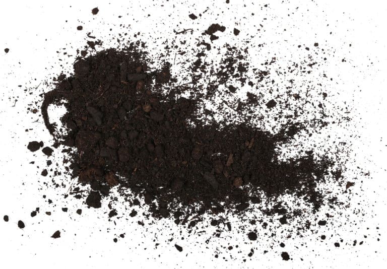 Peat Extract, Alpin Heilmoorpulver