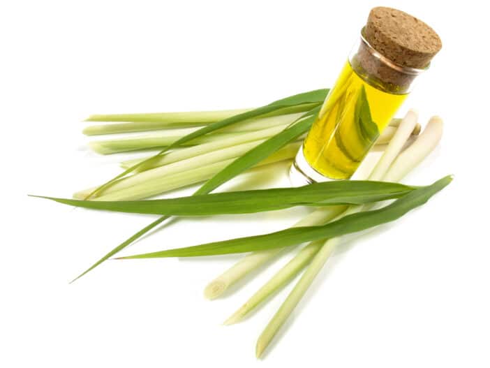 Cymbopogon Flexuosus Herb Oil; Lemon Oil