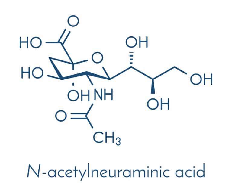Sialinsäure, Sialinsäure, NANA