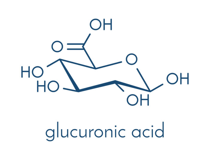 UDP-Glucuronosyltransferase, Enzym