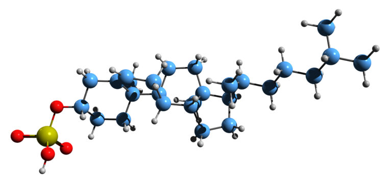 potassium cholesteryl sulfate