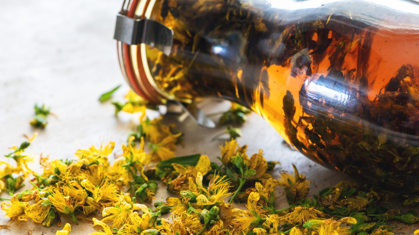 St. John's Wort Oil, Hypericum Perforatum Extract