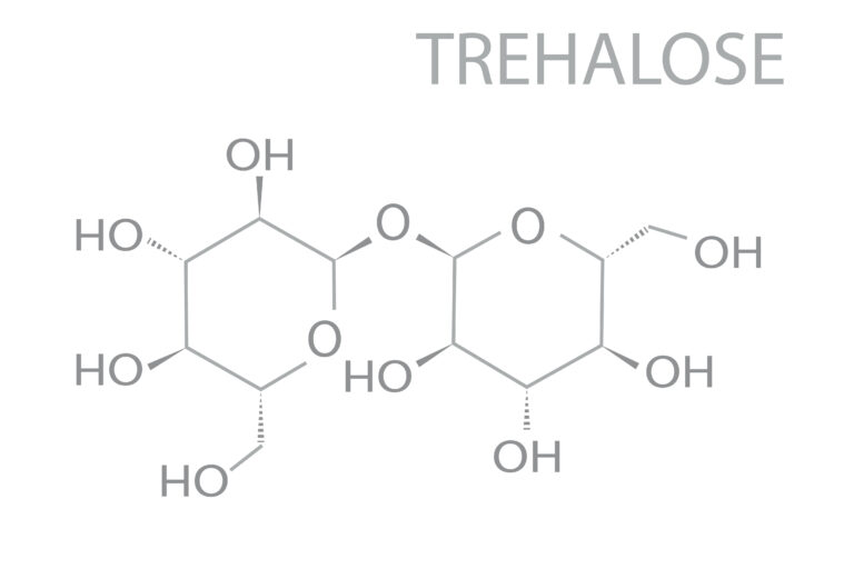 Myrothamnus Flabellifolia Extrakt, Myramaze Pure, Treulose